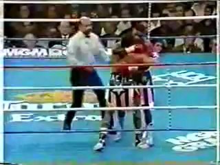 1994-01-29 Felix Trinidad vs Hector Camacho