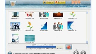free digital picture pictures photo photos recovery restore repair software tool utility freeware download how to recover digital picture pictures
