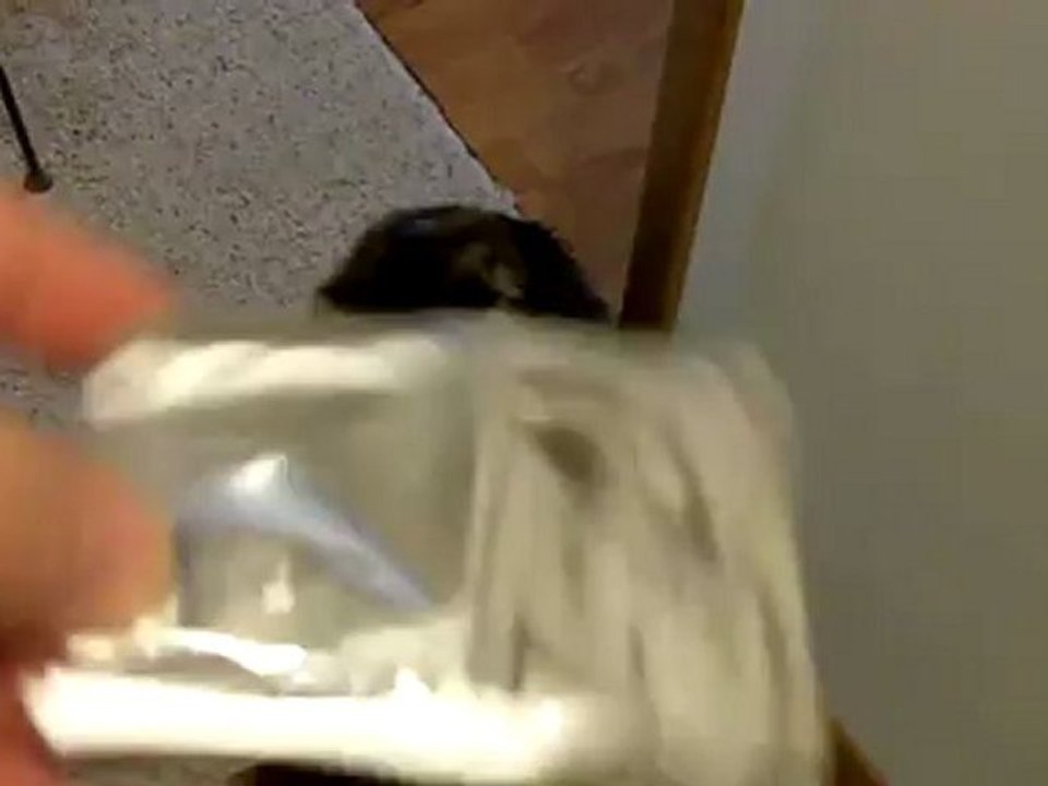 China's Finest: "Sony" ECM-DS70P Microphone Test!