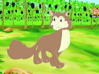 Animal Facts - Fox