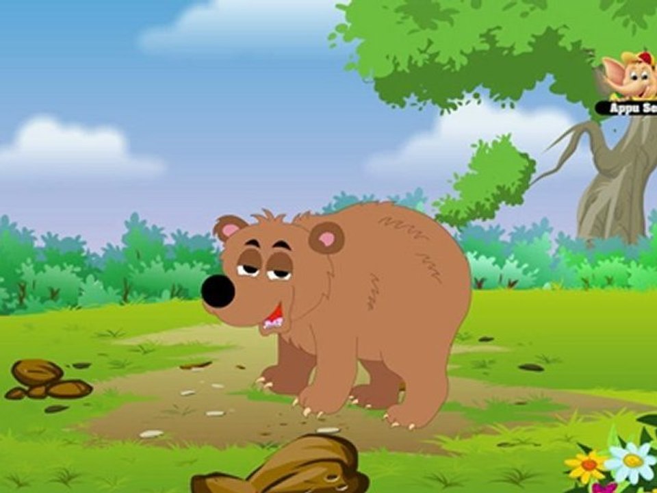 Animal Facts - Bear