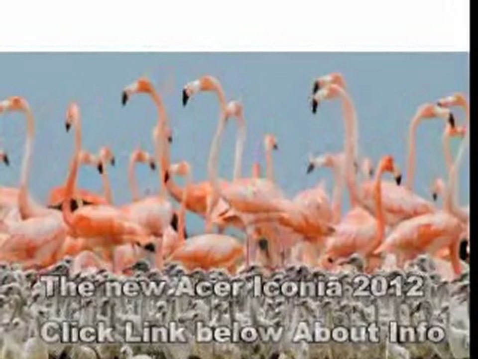 Electronics Black Friday 2013 - Best TABLET Under $300 Sales Online - New Acer Iconia 2012