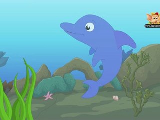 Animal Facts - Dolphin