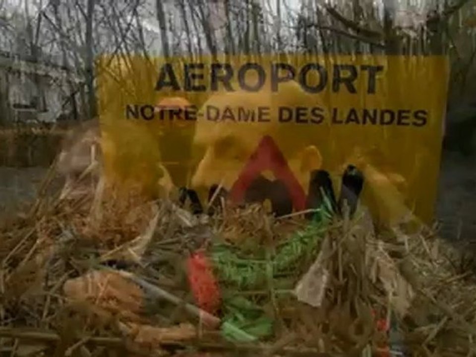 Notre-Dame-des-Landes : heurts entre opposants et forces de l'ordre