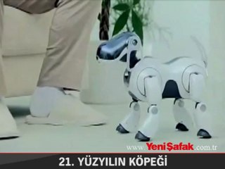 21. yüzyılın köpeği
