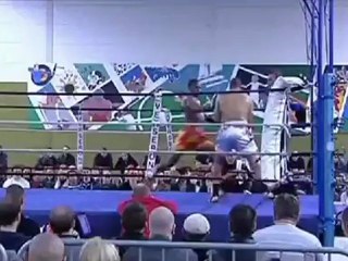 aristote le phénomème