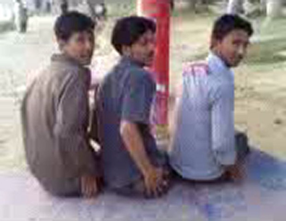 BEBY 1 zishan