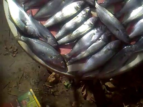 15-11-2012 çayırova