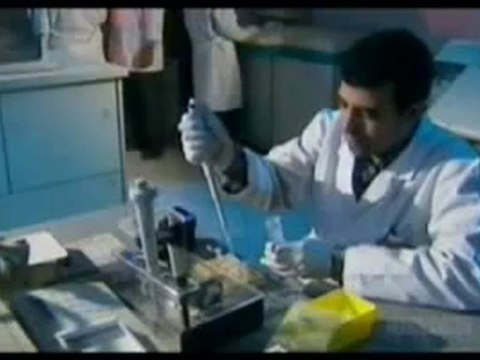 PROOF Modern Egyptians descend from Ancient Egyptians