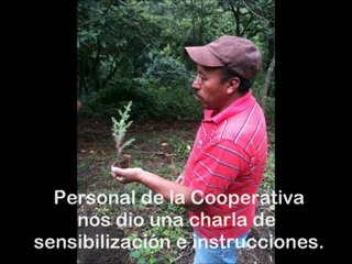 Reforestación 2012 Asociación Mapaches