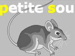 la petite souris