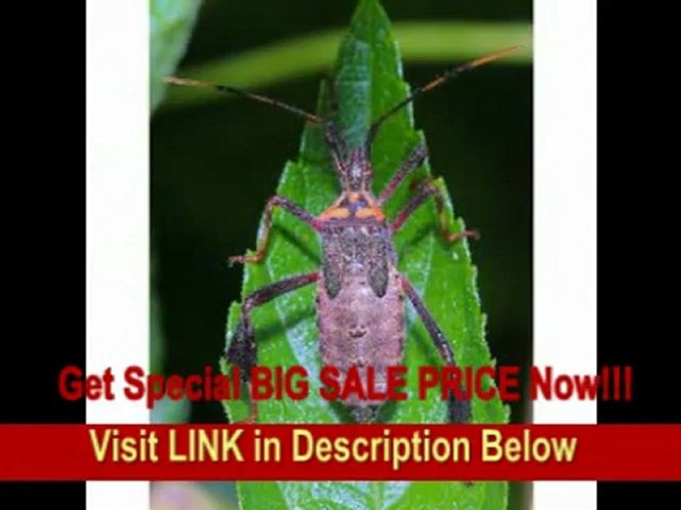 [REVIEW] Sigma 105mm F2.8 EX DG OS HSM Macro Lens for Canon SLR Camera