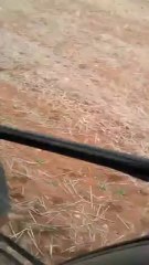 VIDEO0438
