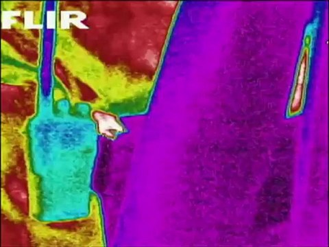 Chasseurs de fantômes - TAPS - Saison 6 - Le plus vieux zoo américain