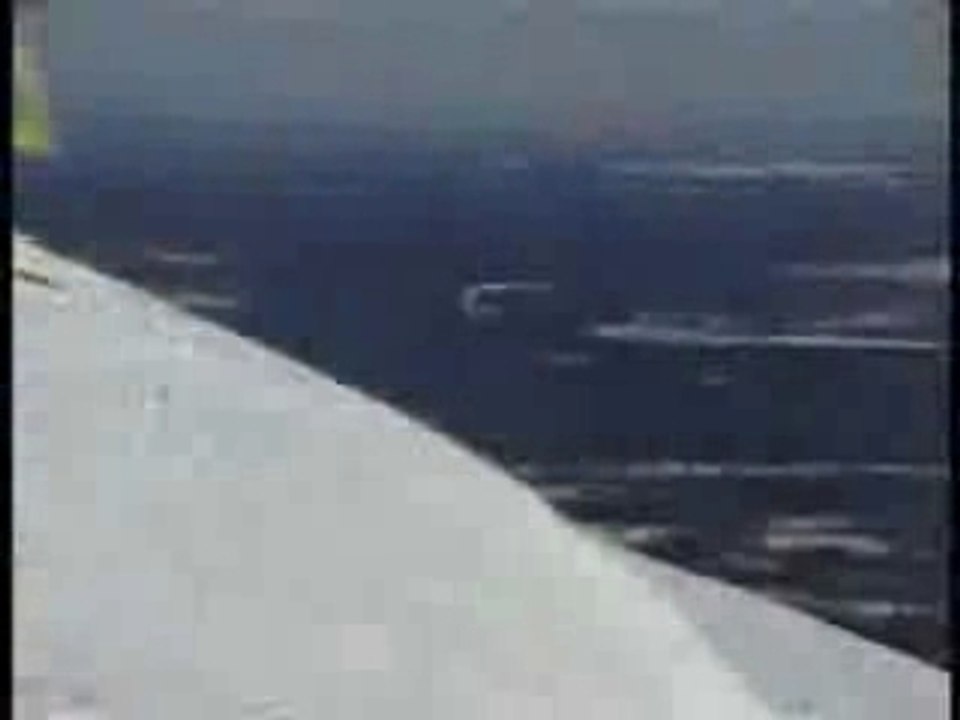 Sky-Wings