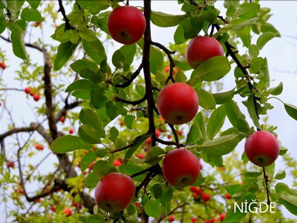 SuperUydu - Adım Adım Türkiye