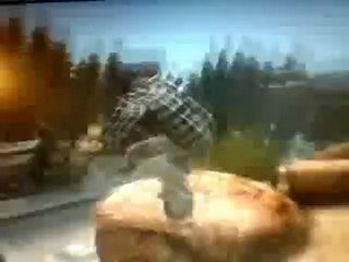 skate 3 delire