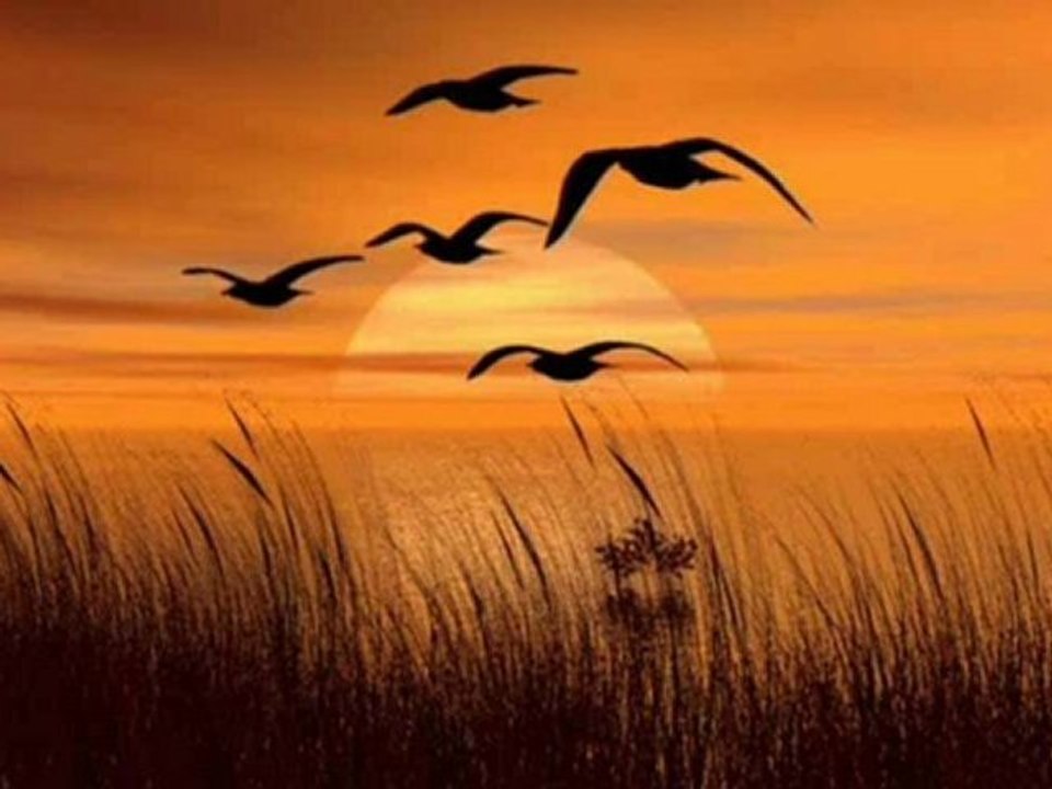 Beyond heaven...(Karunesh)