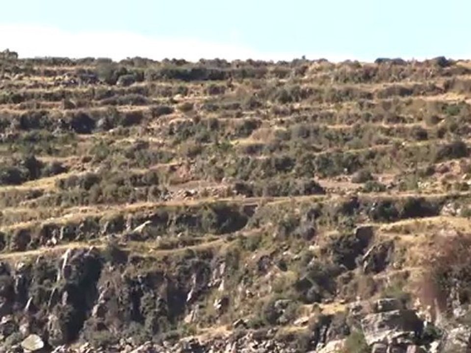 Bolviie- Découverte de l'Ile du Soleil