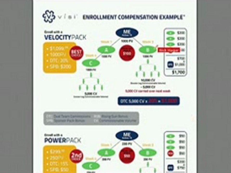ViSi Compensation Plan Rough Overview