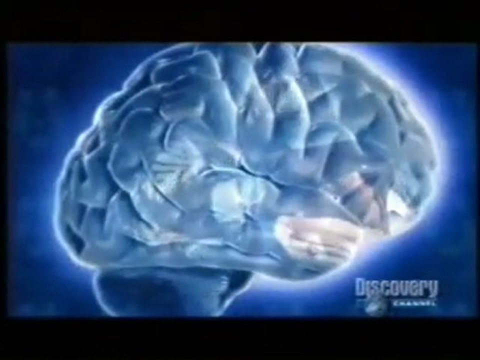 Memoria y estimulacion cognitiva: Mnemotecnia