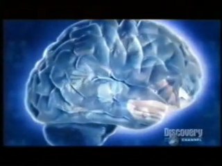 Memoria y estimulacion cognitiva: Mnemotecnia