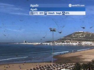 Arcachon - France, Cannes - France, Dusseldorf - Germany, Palma de Mallorca - Spain, Agadir - Morocco, Warnemunde - Germany, Warsaw - Poland