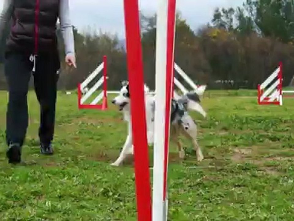Gao au slalom
