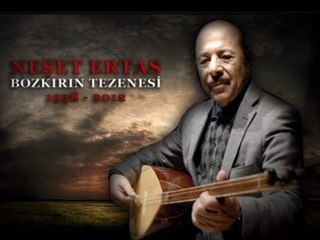 Neşet Ertaş - Su Gelir Millendirir