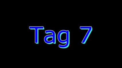 LEGO SW/City Adventskalender (2011) 7-12 HD