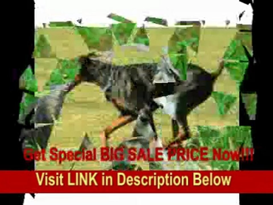 [SPECIAL DISCOUNT] Tamron AF 200-500mm f/5.0-6.3 Di LD SP FEC (IF) Lens for Nikon Digital SLR Cameras