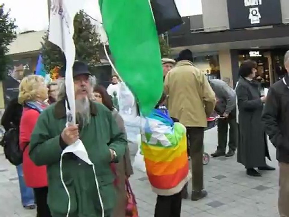 Orléans Palestine 5/11