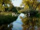 Preview for How to Paint Landscapes DVD course 10 painting 10 DVDs class (OilPaintingWorkshop.com)