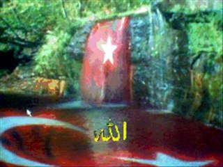 istanbulda kamyonet,kamyon,hamal,parça eşya taşımacılık hizmeti