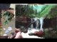How To Do Oil Painting Landscape Oil Paintings Trailer