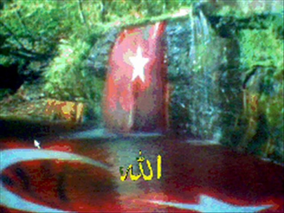 EVDEN EVE NAKLİYAT VE HAMAL,HAMMAL