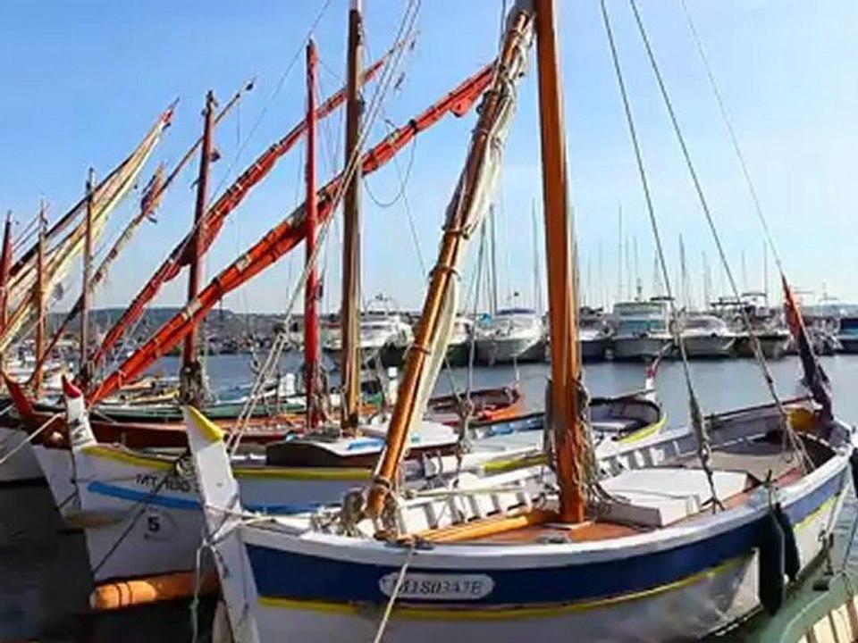 BANDO BANDOLAIS Newversion