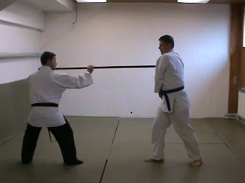 (aiki-)Bo : kanshisha ken tai bo kihon 3 henka