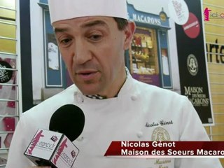 Présentation de la gamme Renaissance Nancy 2013