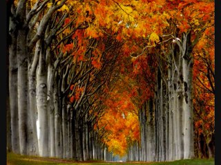 Amar Ei Poth Chaoatei Anondo - Srikanto Acharya