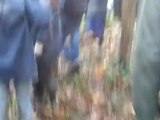 Lutte de NDDL : Affrontement violents du samedi 24 novembre dans la forêt de Rohanne.Chaud devant !