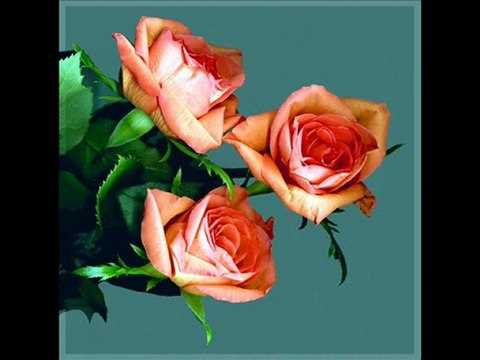 SesLiPatnos.com Kardeşliğin, Barışın ve Dostluğun Bulustuşu Tek seslisohbet Platformu