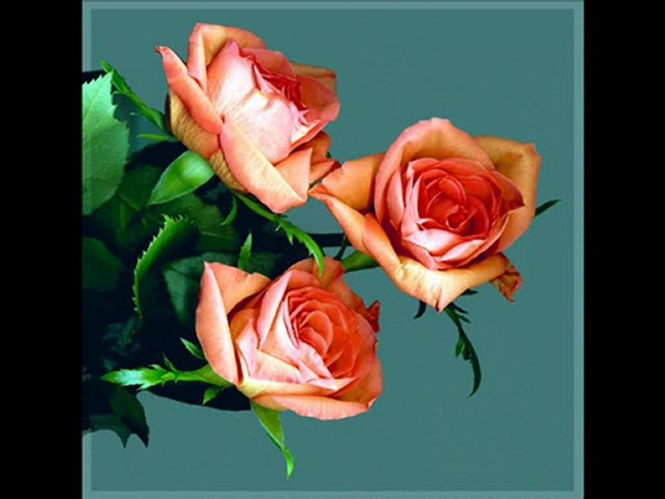 SesLiPatnos.com Kardeşliğin, Barışın ve Dostluğun Bulustuşu Tek seslisohbet Platformu