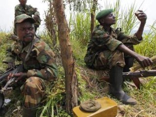 DR Congo conflict creates refugee crisis