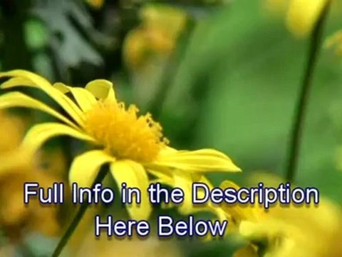 Shaan Stevens of Guinness Gallagher International- Maori Economic Development with Hui Taumata