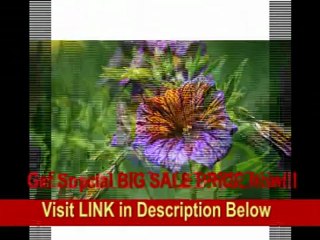 [SPECIAL DISCOUNT] Tamron AF 180mm f/3.5 Di SP A/M FEC LD (IF) 1:1 Macro Lens for Canon Digital SLR Cameras