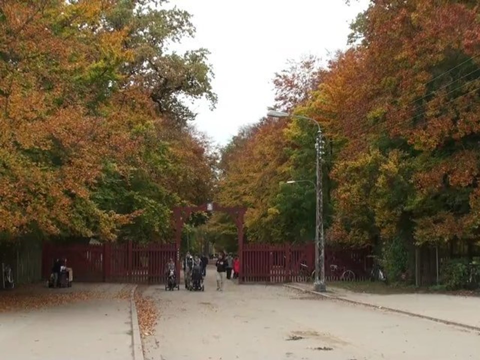 20121021115056