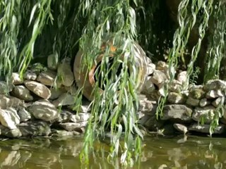 Leggett Immobilier - What our clients say