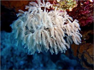 121 24 Heures en images 2