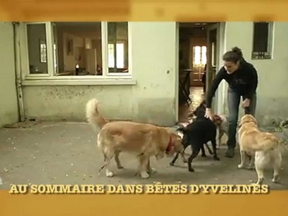 Bêtes d'Yvelines - Balade avec PEP'C